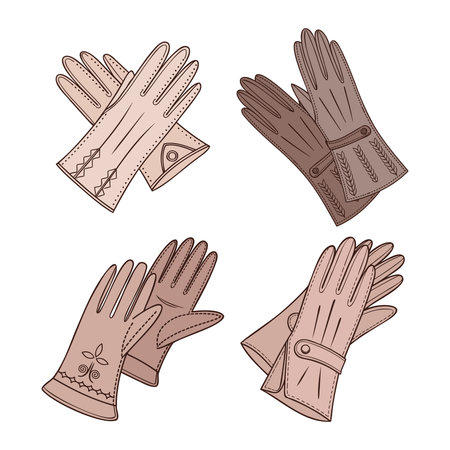 Collection of elegant vintage womens leather gloves. Line art illustration.のイラスト素材
