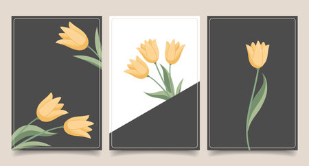 Elegant yellow tulips botanical art prints. Minimalist floral art posters collection.のイラスト素材