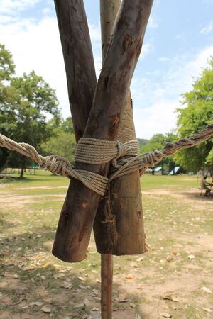 Sheer Lashing, Sheer Legsの写真素材