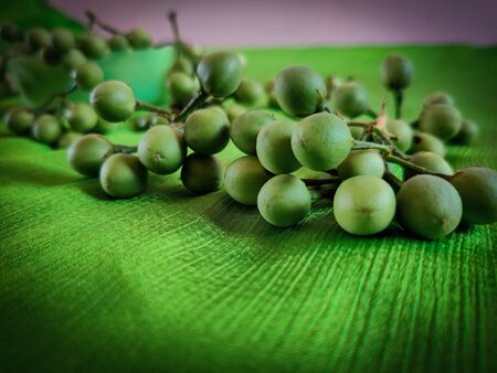 Closeup of Turkey beerry kept in green background, a vegetablの写真素材