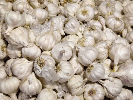 White garlic pile texture. Fresh garlic on market table closeup photo. White garlic head heap top...