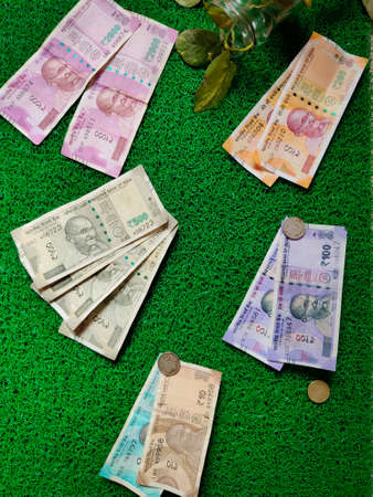 Two nos of 2000,200,100. Four nos of 500. One nos of 50,10. And three coins of Indian rupees note. Isolated on green background with money plant.Daylight. Topviewの写真素材