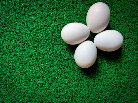 Four uncooked eggs are isolated on green background. Daylightの写真素材