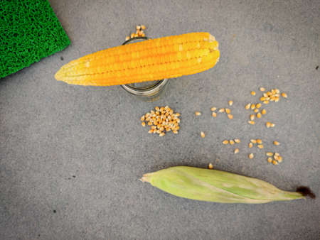One boiled corn kept in the top of glass bottle and one non boiled corn with scattered unpopped popcorn grains. Isolated on grey background.の写真素材