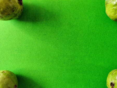 Four fresh guava fruit isolated on corners of green background.の写真素材