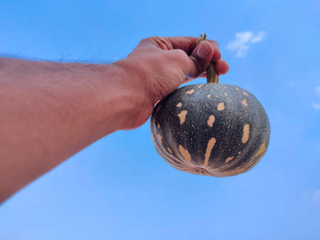 South Indian man holding small size green color pumpkin with his hands. Cloud backgroundの写真素材