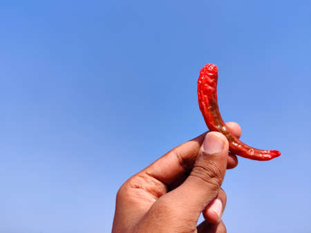 South Indian young man holding one red chilli .Cloud backgroundの写真素材