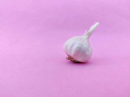Copy space of one small size garlic bulb isolated on pink backgroundの写真素材