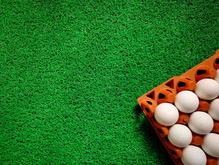 Copy space of eggs in orange plastic tray. Green color.
