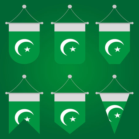 Pakistan Flag in Different Style Illustration Vector Designのイラスト素材