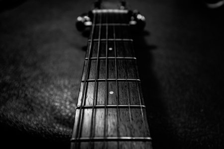 Acoustic guitar neck on a dark background. Black and white photo.