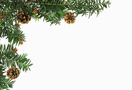 Frame made of Christmas tree branches with red berries and frame paper card note. Copy space for text. Nature New Year conceptの写真素材