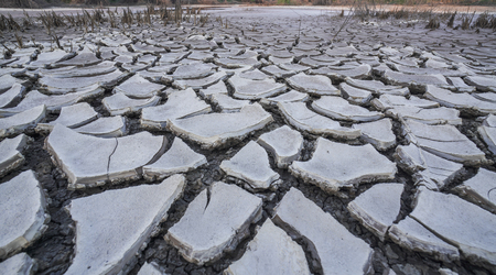 dry ground cracks