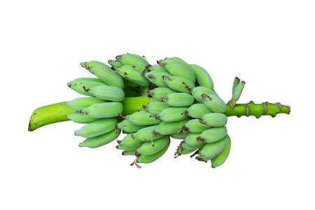 Green banana  on a white backgroundの写真素材