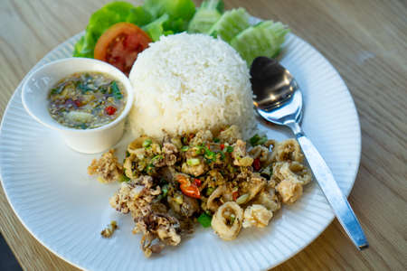 Fried Squid with Garlic Fried Riceの写真素材