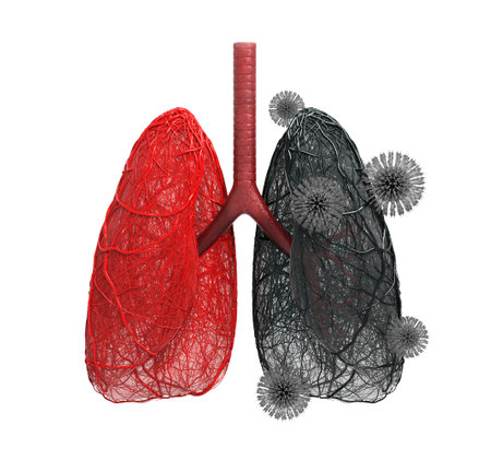 abstract lungs veins virus  red black respiratory illness fever cough sore throat deaths bacteria destroy immune cell infection severe acute spread. path. 3D illustration.の写真素材