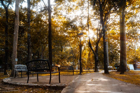Shady atmosphere in the park with beautiful sunbeam, sunray, there are iron benchs at the resting...