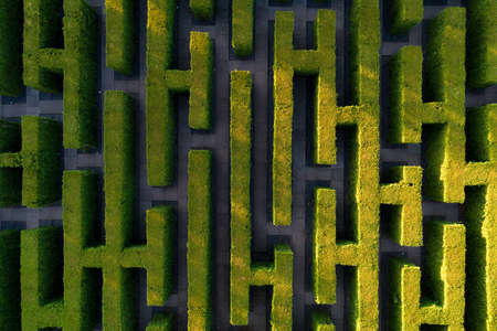 Green labyrinth in garden geometrical symmetry maze Aerial drone view