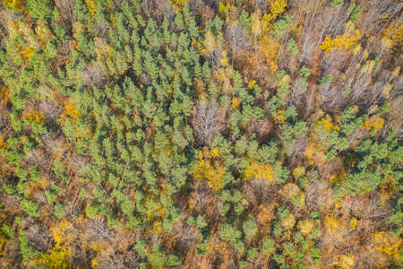Iwkowa village country in Brzesko Poland. Polish mountains and hills aerial drone photo