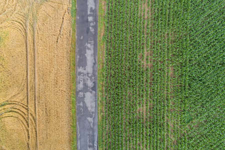Village country farming shapes in field aerial drone photo