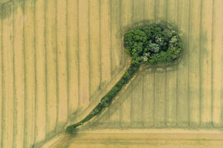 Village country farming shapes in field aerial drone photoの写真素材