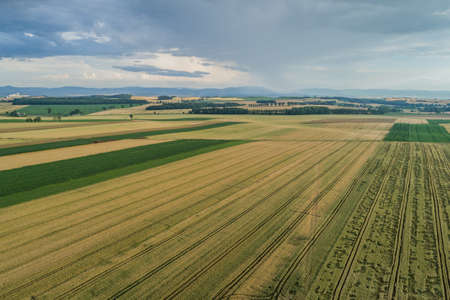 Village country farming shapes in field