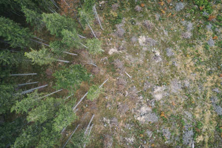 Beskid mountains Pilsko Polish mountains and hills aerial drone photo