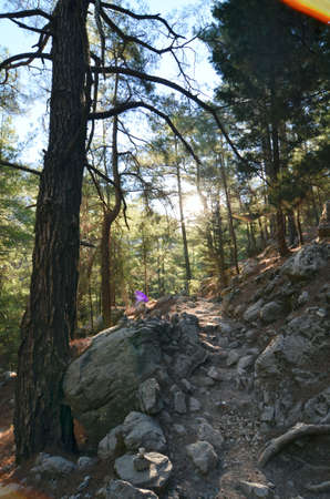 Samaria Gorge National Park in Crete Greeceの写真素材