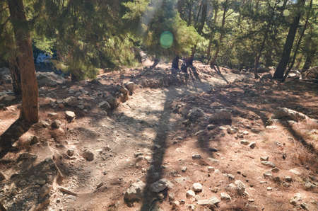Samaria Gorge National Park in Crete Greeceの写真素材