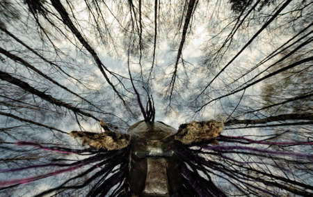 Predator in the forest, Predator maskの写真素材