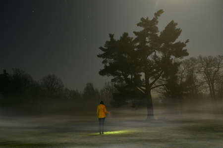 Women with flashlight at night, background big treeの写真素材