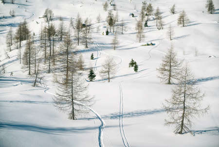 Aerial drone view of Madonna di Campiglio and ursus snowpark in Val Rendena dolomites trentino Italy