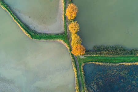 Fish breeding ponds, fish pond in Bielsko Biala, Beskid Mountains Poland Aerial drone photo