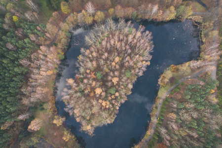 Aerial drone photo of forest in autumn, fall season, colorful trees in Silesia Polandの写真素材