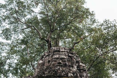 Angkor wat temple complex in Cambodia, Siem Reap Buddhist temple in Asiaの写真素材