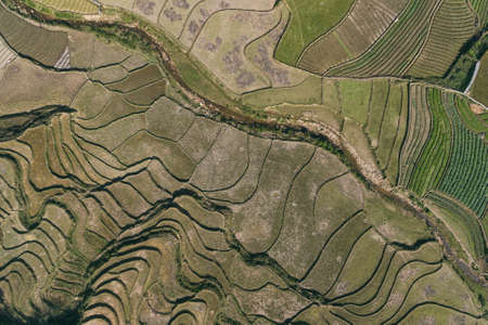 Rice Fields, rice terrace Paddy in Sa Pa Lao Cai Vietnam Asia Aerial Drone Photo View