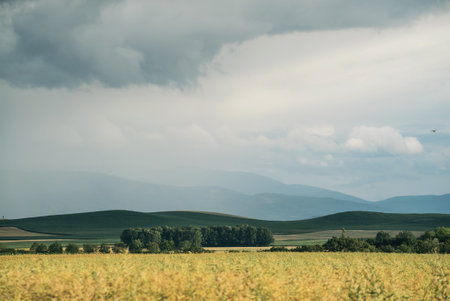 Village country farming shapes in field aerial drone photo viewの写真素材