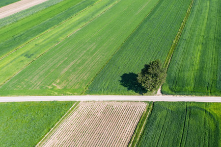 Village from drone aerial view. Suloszowa village in Krakow County, Lesser Poland Voivodeship, in southern Poland. Beautiful village with houses and fields in Poland.の写真素材