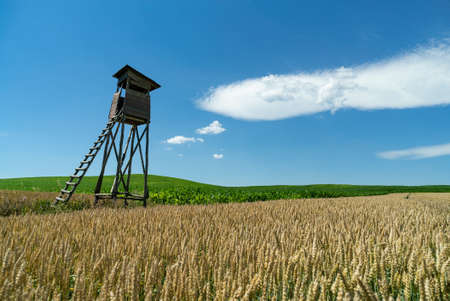 Village from drone aerial view. Beautiful village with houses and fields in Nysa, Poland. Polish farmland.の写真素材