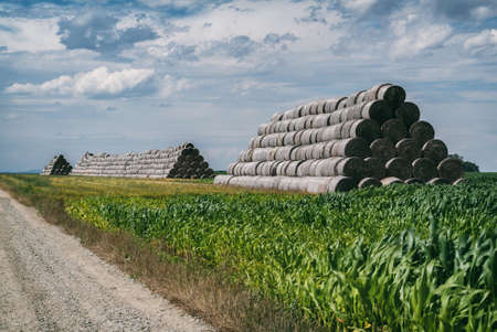 Village from drone aerial view. Beautiful village with houses and fields in Nysa, Poland. Polish farmland.の写真素材