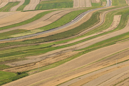Beautiful village with houses and fields in Poland. Village in the middle of the field from drone...