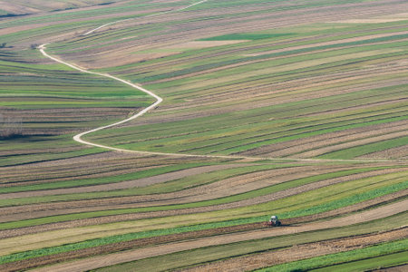 Beautiful village with houses and fields in Poland. Village in the middle of the field from drone aerial view. Suloszowa village in Krakow County. Aerial drone view of growing grain in the fields.の写真素材