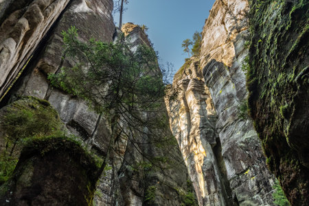 National Park of Adrspach Teplice rocks. Adrspach Teplice Rocks mountain range in Central Sudetes part of the Table Mountains. Beautiful limestone sandstones rocks in Adrspach, Czech Republic.の写真素材