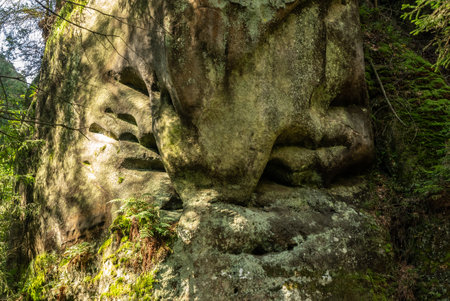 National Park of Adrspach Teplice rocks. Adrspach Teplice Rocks mountain range in Central Sudetes part of the Table Mountains. Beautiful limestone sandstones rocks in Adrspach, Czech Republic.の写真素材