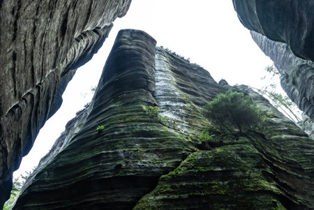National Park of Adrspach Teplice rocks. Adrspach Teplice Rocks mountain range in Central Sudetes part of the Table Mountains. Beautiful limestone sandstones rocks in Adrspach, Czech Republic.の写真素材