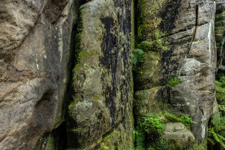 National Park of Adrspach Teplice rocks. Adrspach Teplice Rocks mountain range in Central Sudetes part of the Table Mountains. Beautiful limestone sandstones rocks in Adrspach, Czech Republic.の写真素材