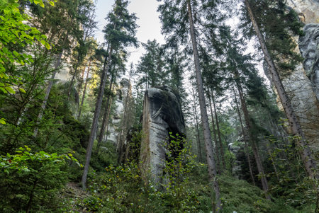 National Park of Adrspach Teplice rocks. Adrspach Teplice Rocks mountain range in Central Sudetes part of the Table Mountains. Beautiful limestone sandstones rocks in Adrspach, Czech Republic.の写真素材