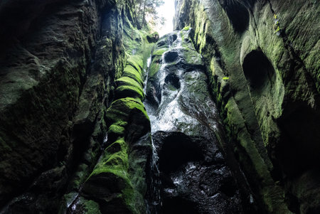 National Park of Adrspach Teplice rocks. Adrspach Teplice Rocks mountain range in Central Sudetes part of the Table Mountains. Beautiful limestone sandstones rocks in Adrspach, Czech Republic.の写真素材