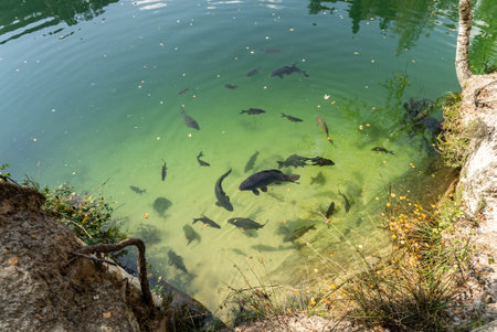National Park of Adrspach Teplice rocks. Adrspach Teplice Rocks mountain range in Central Sudetes part of the Table Mountains. Beautiful limestone sandstones.の写真素材