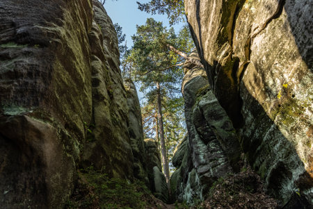 National Park of Adrspach Teplice rocks. Adrspach Teplice Rocks mountain range in Central Sudetes part of the Table Mountains. Beautiful limestone sandstones rocks in Adrspach, Czech Republic.の写真素材